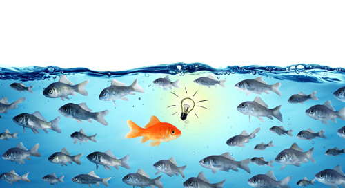 One gold fish with a light bulb over its head swimming among a shoal of grey fish; PR; Tech PR; thought leadership; digital marketing; content marketing; public relations; Irish technology sector